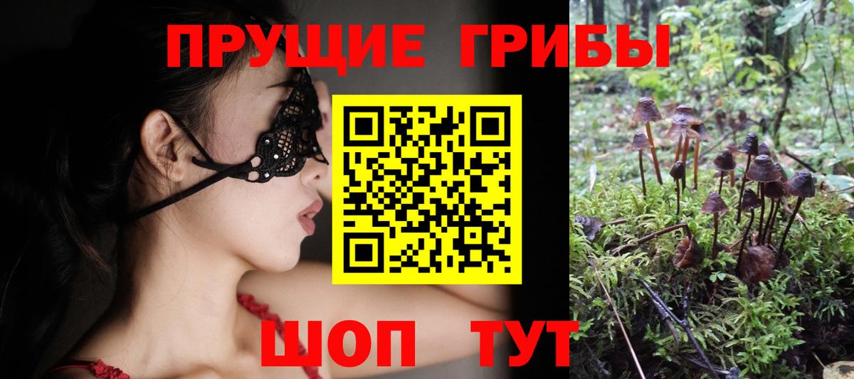Псилоцибиновые грибы мицелий Фурманов