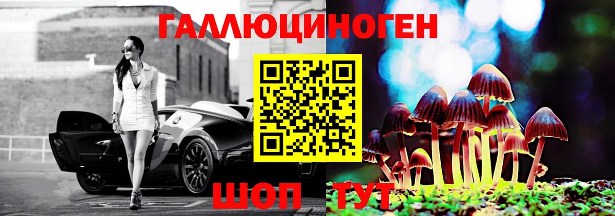 Фурманов  Галлюциногенные грибы Psilocybe  Вход с VPN 